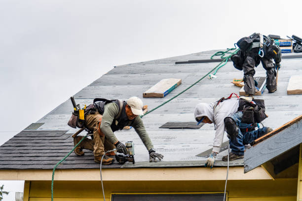Professional Storm Damage Roof Repair technician working in Williamstown, MA